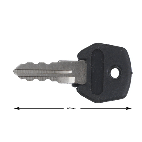 Nyckel för Nami (skolkörning) 2 st.