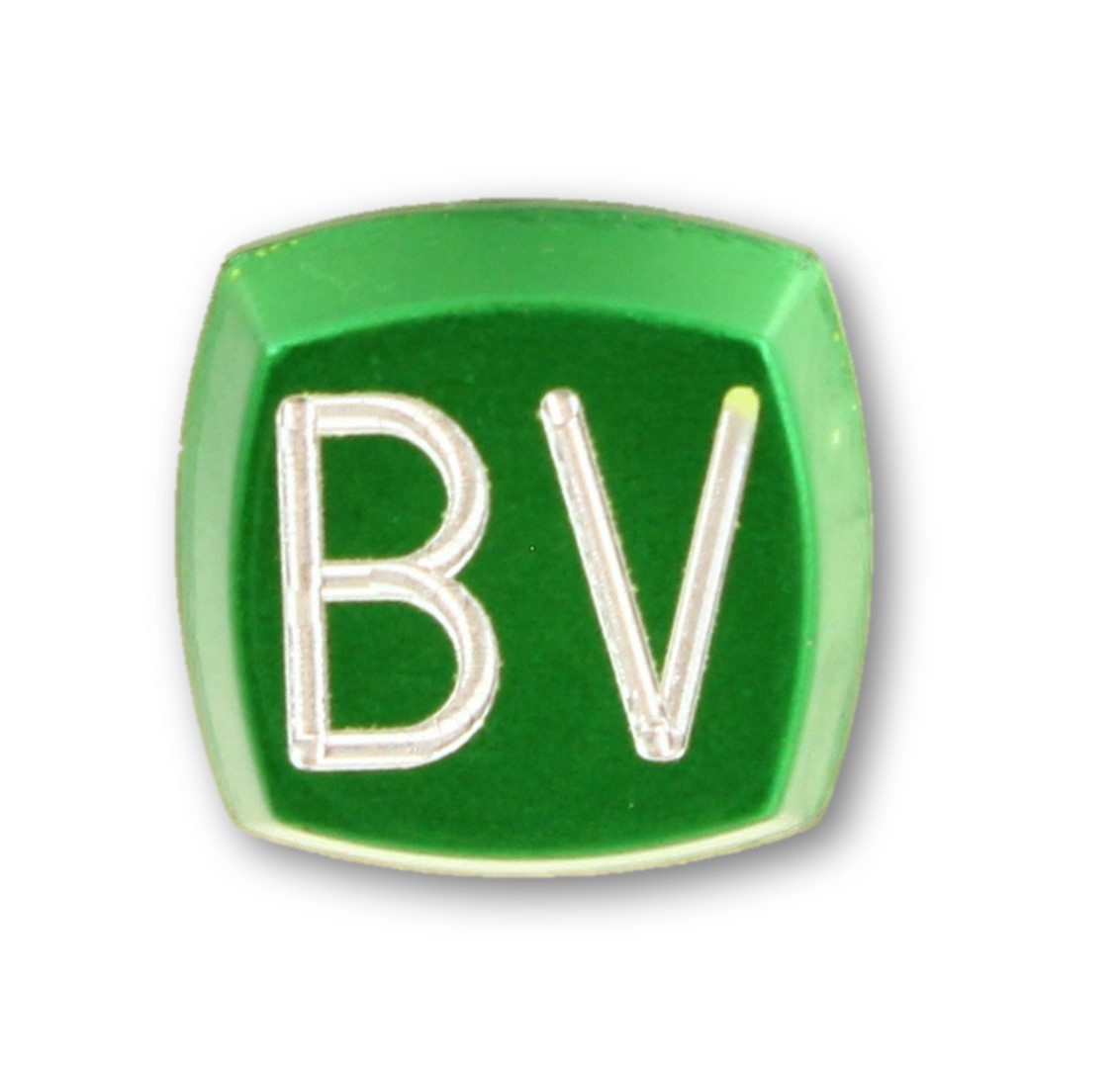 Tryckbricka, KONE-M, grön, förhöjd ''BV''